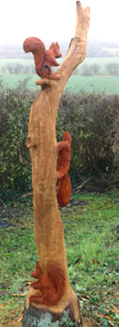 Eichhönchen klettern an einem kronenlosen Baumstamm hoch. Der Baum ist auf dem Gelände der Windmühle in Badersleben/Huy zu sehen