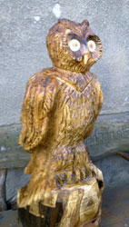 Eule3