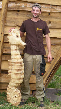 Seepferdchen aus Holz
