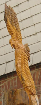 fliegender Adler